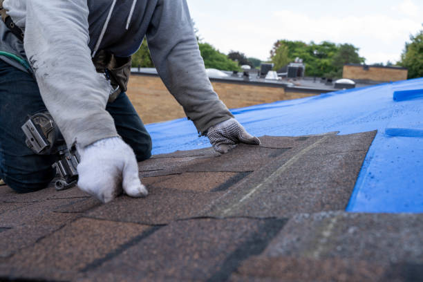 Best Flat Roof Repair Services  in Penrose, CO